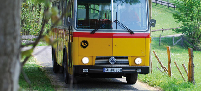 Bus